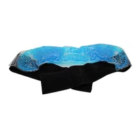 Hladni paket za glavo